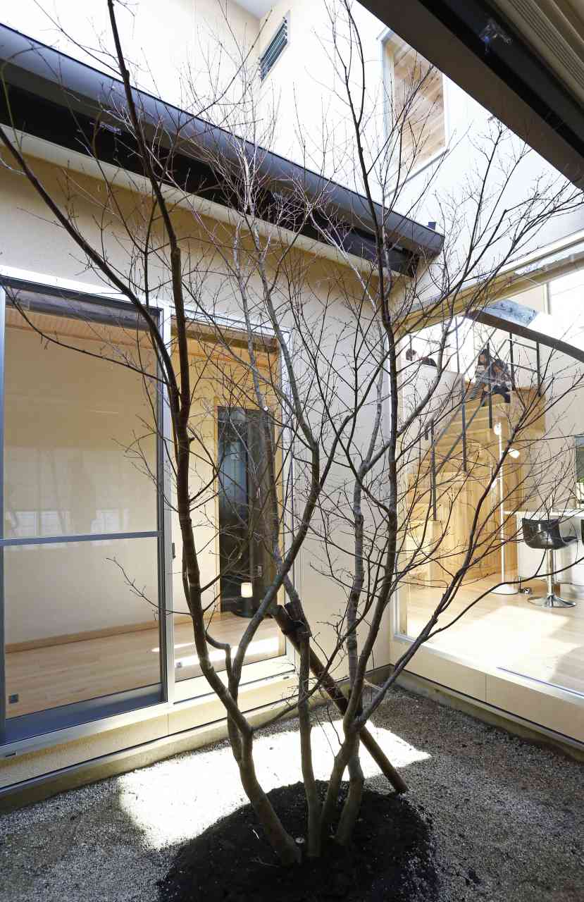 kumamotoshi_nishiku_k_garden